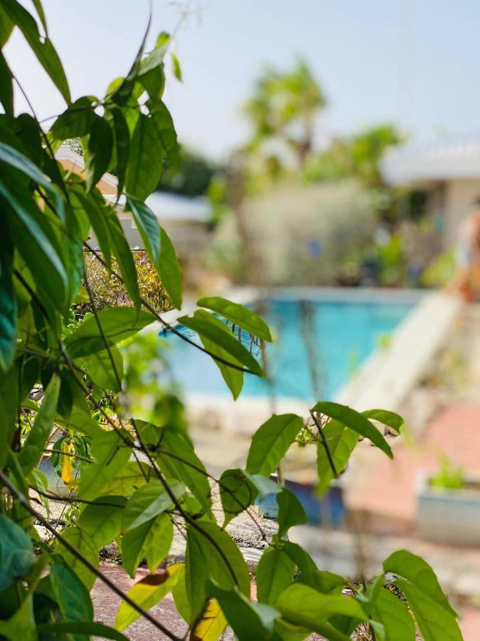 Appartement Tropical Breeze Curacao à Santa Catharina Extérieur photo