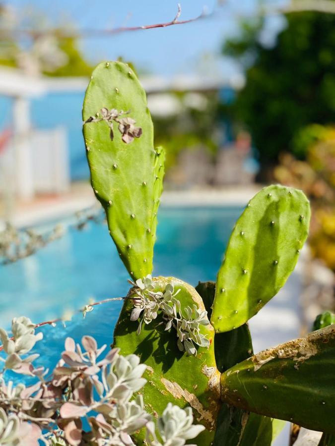 Appartement Tropical Breeze Curacao à Santa Catharina Extérieur photo