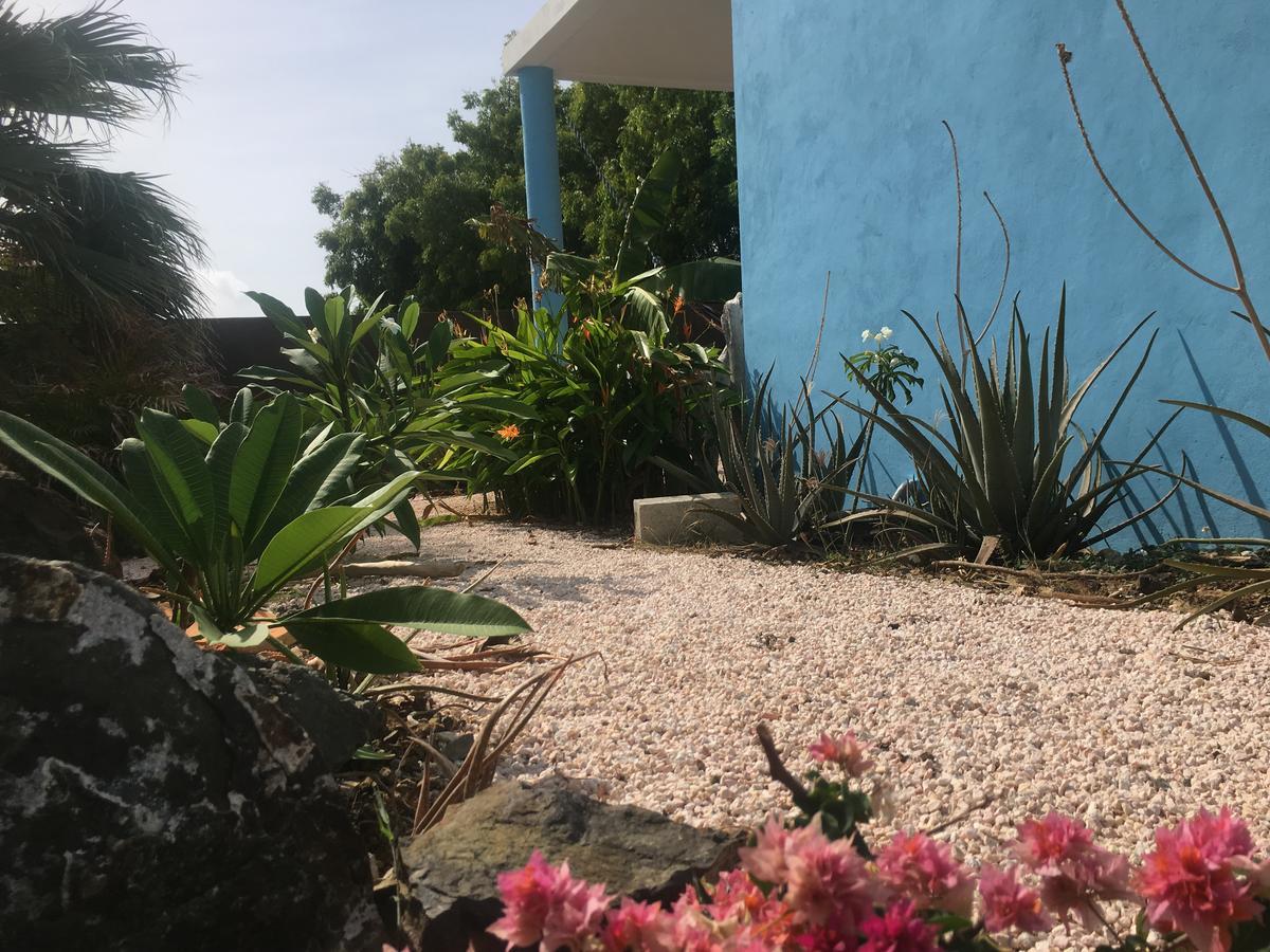 Appartement Tropical Breeze Curacao à Santa Catharina Extérieur photo